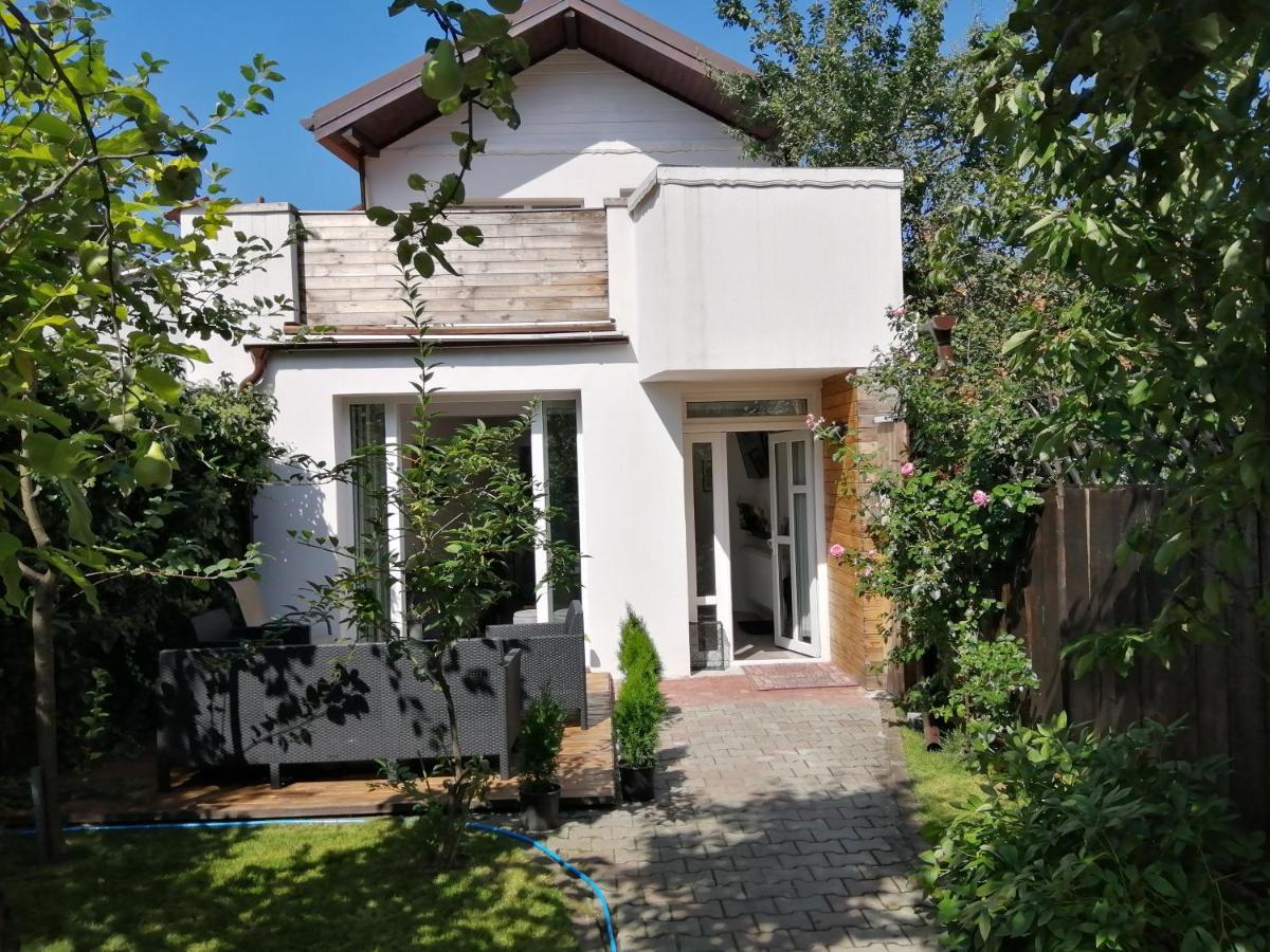 Bed and Breakfast Casa Scheiana Brașov Exterior foto