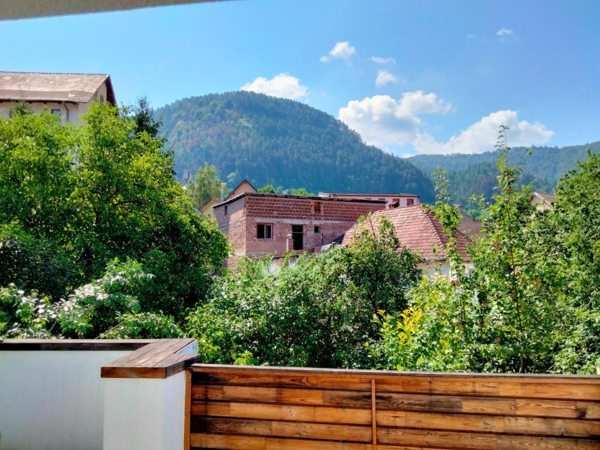 Bed and Breakfast Casa Scheiana Brașov Exterior foto